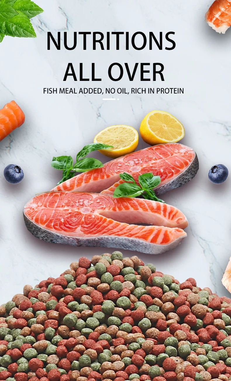 Multifunctional Fish Food Yee Factory Price Aquarium Fish Food High