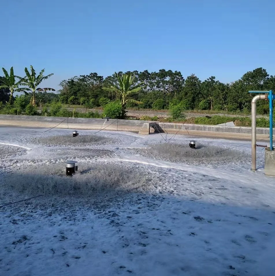 SAR Surface Floating Aerator Particularly Suited to Buffer Tanks, Activated Sludge, SBR, MBR and Aerated Lagoons.