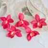 Rose red