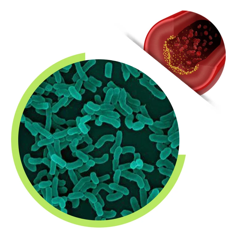 low price lactobacillus casei probiotic powder for probiotic