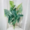 Pianta di patata verde chiaro