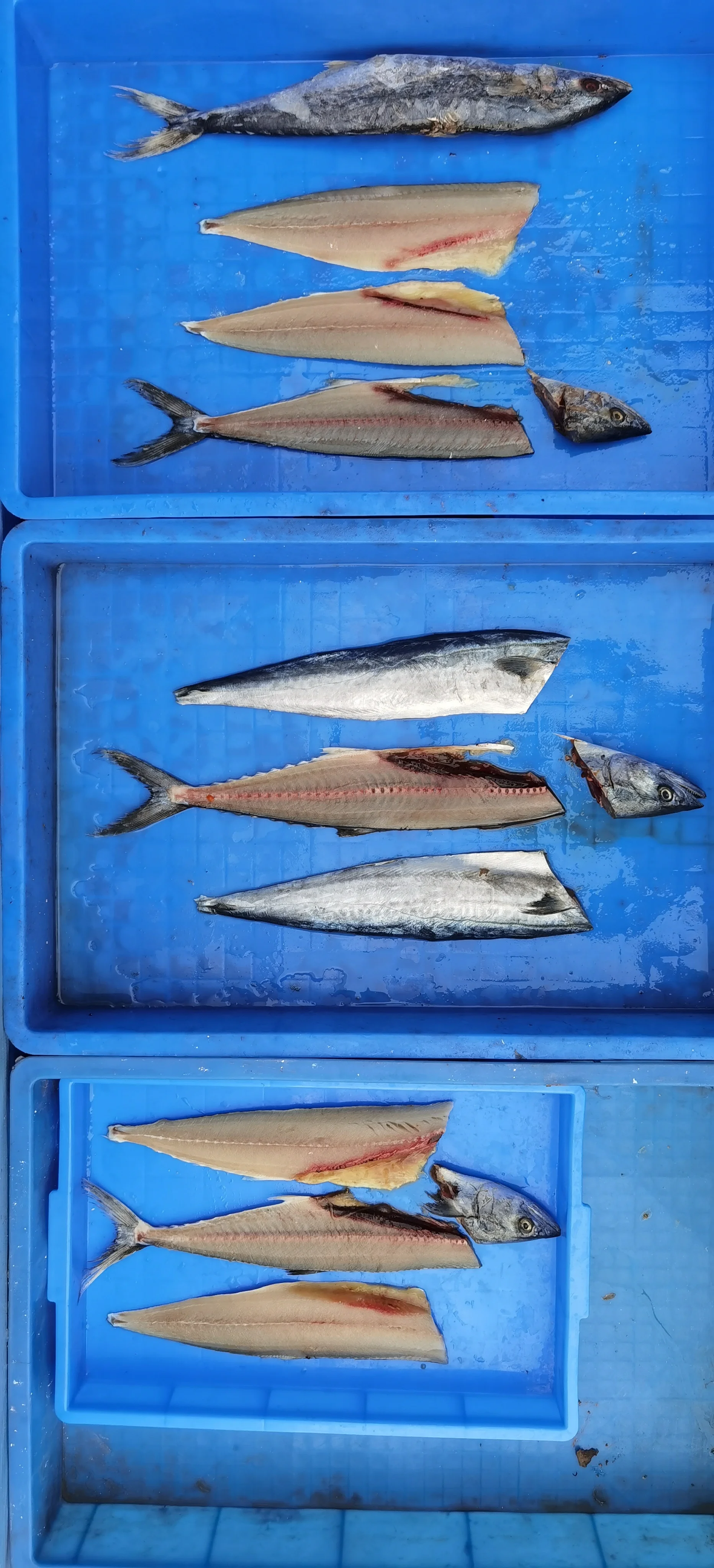 Fresh/frozen Fish Slicing Cutter Fish Fillet Machine Price Automatic Commercial Mackerel Fish Fillet Processing Machinery