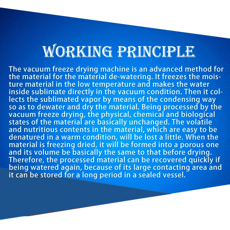 Высококачественная лиофилизирующая сушилка TCA пищевой лиофилизатор сушильная машина для замораживания