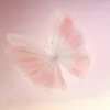 Gradient pink