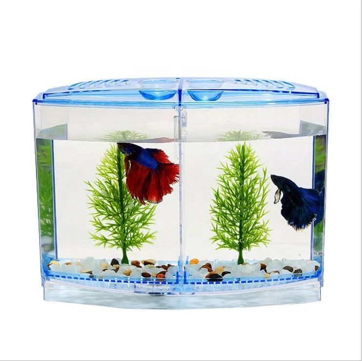betta fish box J-star Extra Large Breeder for Aquarium Tank, Acrylic Breeding Box for Guppy/Betta/Shrimp/Clownfish, Baby Fish Hatchery & Isolation Tank : Pet Supplies lift and remove the colored side of each partition Penn Plax Cascade Betta Fish