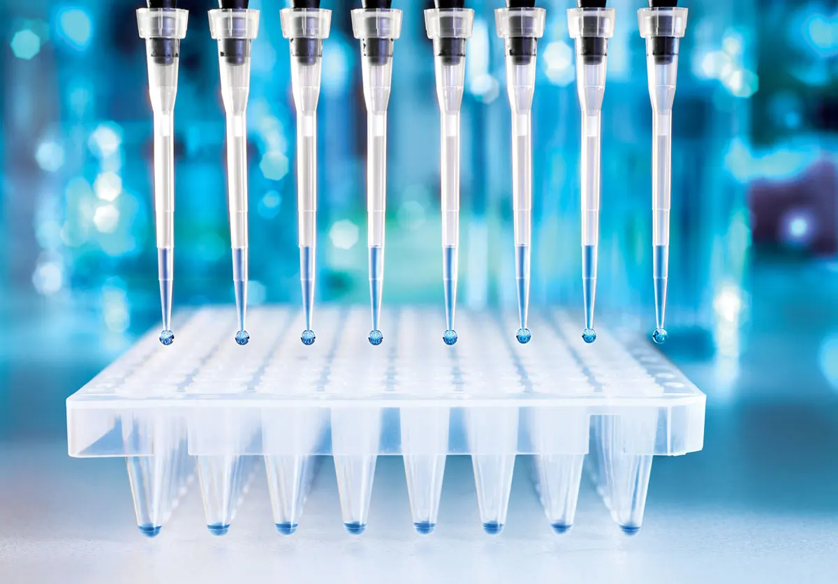 Laboratory Pipette Tips 1000ul With Graduation Filtered Sterile Pipette