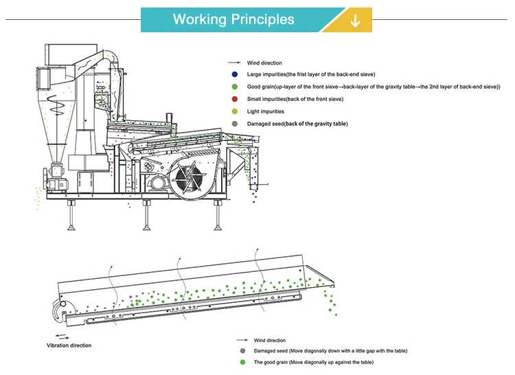 Serve Rice Cleaner Julite Paddy Rice Cleaner Machine - Efficient & Reliable
