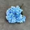 Cielo azul
