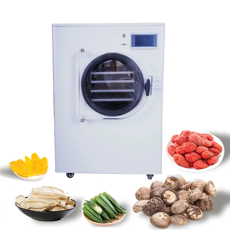 10kg 15kg Freeze Dryer Food Drying Lyophilizer Machine For Home With Oil  Free