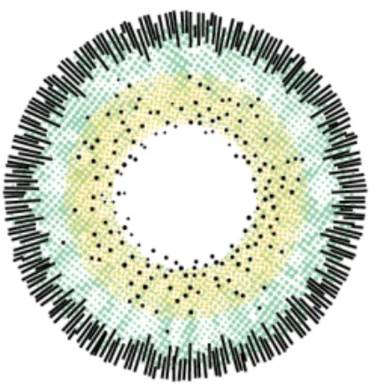 Ежедневные цветные контактные линзы хорошего качества LUMIRERE GREEN #16 из коранового материала 10 шт.