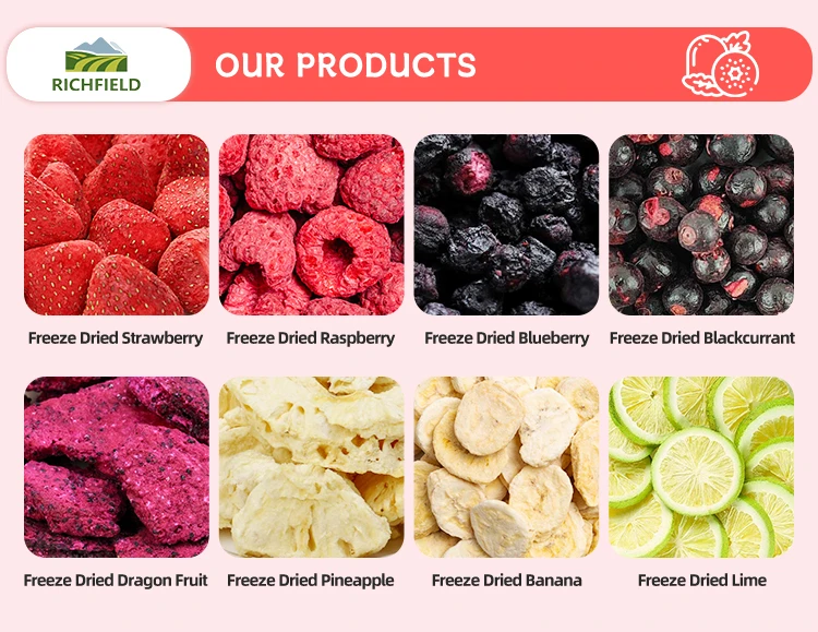 Freeze Dried Jujube Bulk Supply | Wholesale Manufacturer H1e06610c68aa4834b05b5f2d6aaacf05o