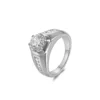 R21390-Silver