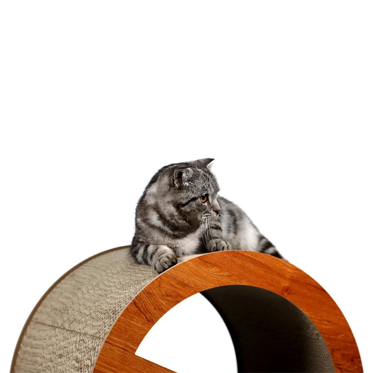 buy cat exercise wheel