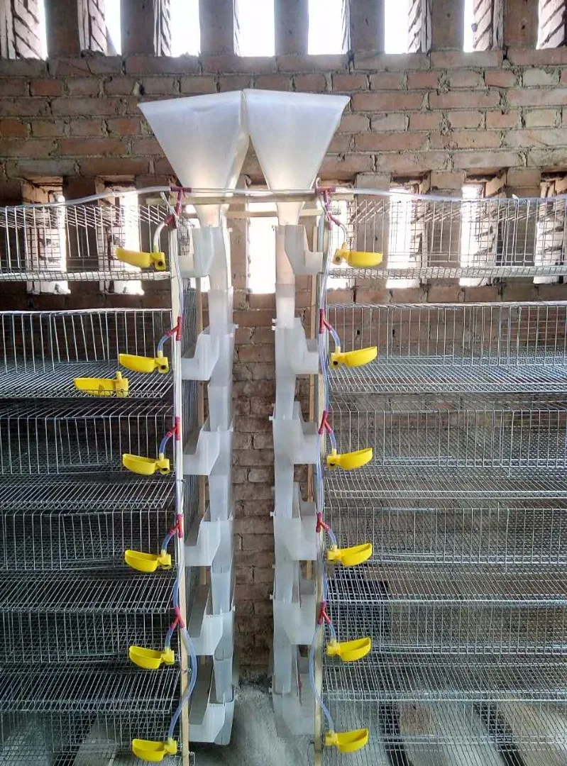 High Quality H Type Automatic Feeding Quail Cage Quail Cages for Egg Production Layer