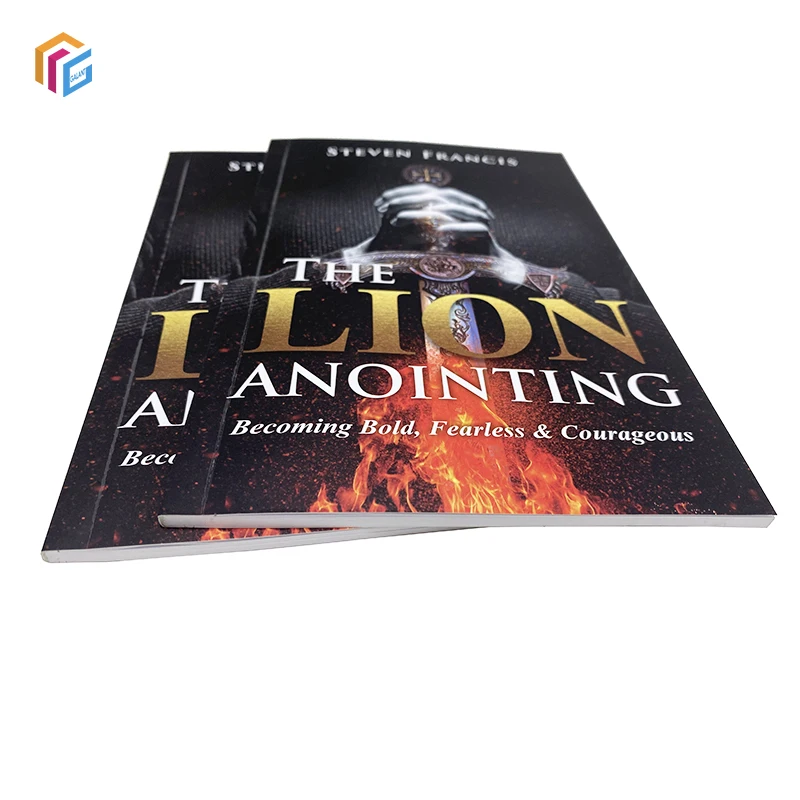 Цветная печать мягкая обложка Книга в мягкой обложке книга Китае