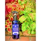 Japan bulk office eco-friendly air freshener with Deodorizing Aroma