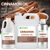 Olio di cannella