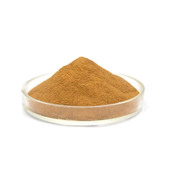 Wholesale Price Coptis Chinensis Extract Powder Pure 98% Berberine ...