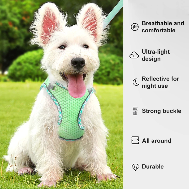 Designer Custom Adjustable Retractable Arnes Para Perros Dog Collar And