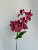 Rose red