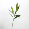 Verde rosato
