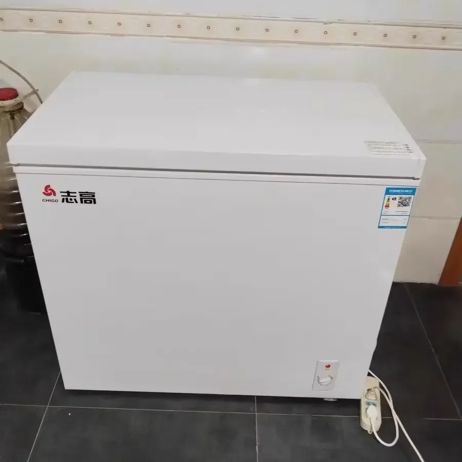 228Lの冷蔵庫 X 228L Freezer - High Quality, Large Capacity Store Freezer