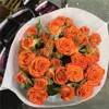 Barbie orange bulle - 30 tiges - sans conservateur