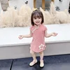 สีชมพู