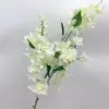 bianco5