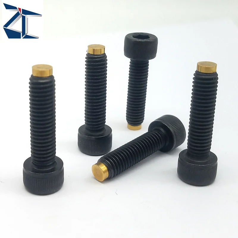 Wholesale Factory Price Factory Supply 18-8 Steel Body Brass Tip Hex Socket Set Screw