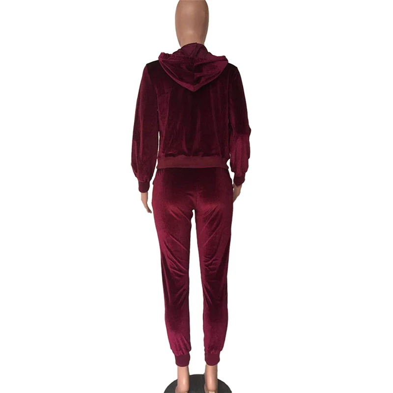Gbvlgar Women Velvet Tracksuit Pockets Sweatsuits Two Piece Set Fall 2020  Women Long Sleeve Clothing Sweatpants And Hoodie Set - Pant Sets -  AliExpress