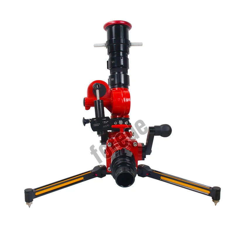 chow chow large breed