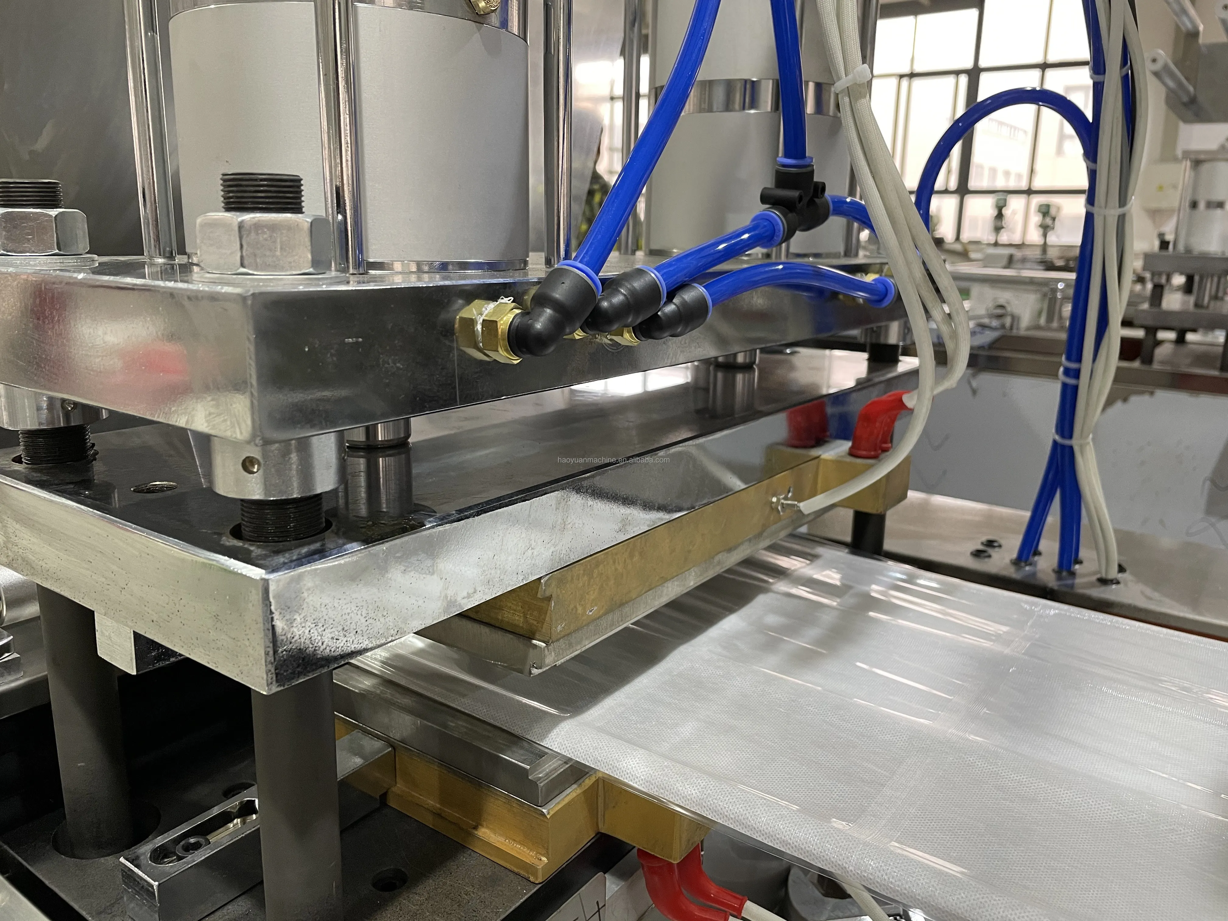 Full Automatic Biological Ice Pack Making Packing Machine Ice Bag Multi Function Packaging Machine HY-330B Haoyuan details