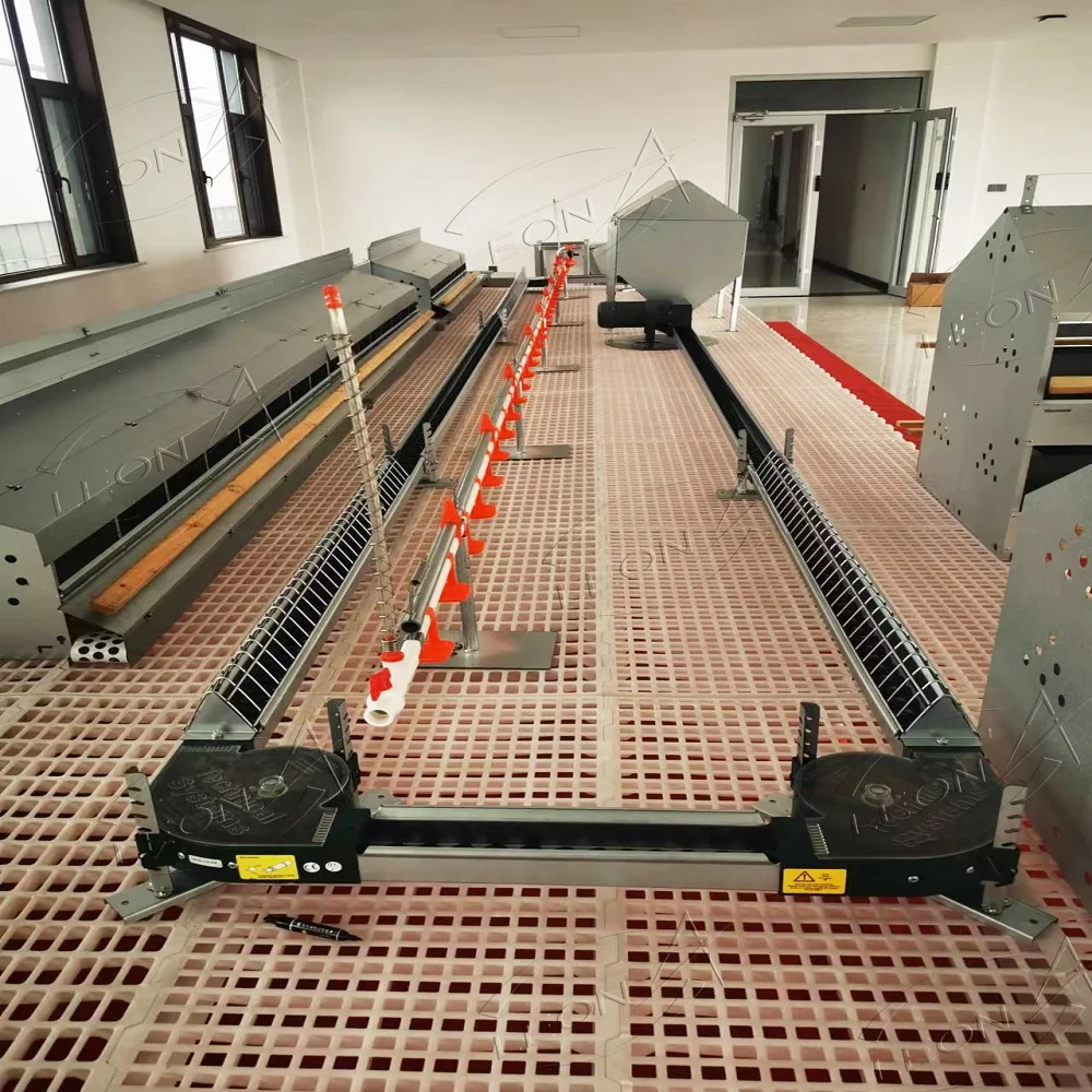 Automatic Chicken Chain Feeding System Poultry Feeder Chain Automatic Layer Poultry Equipment