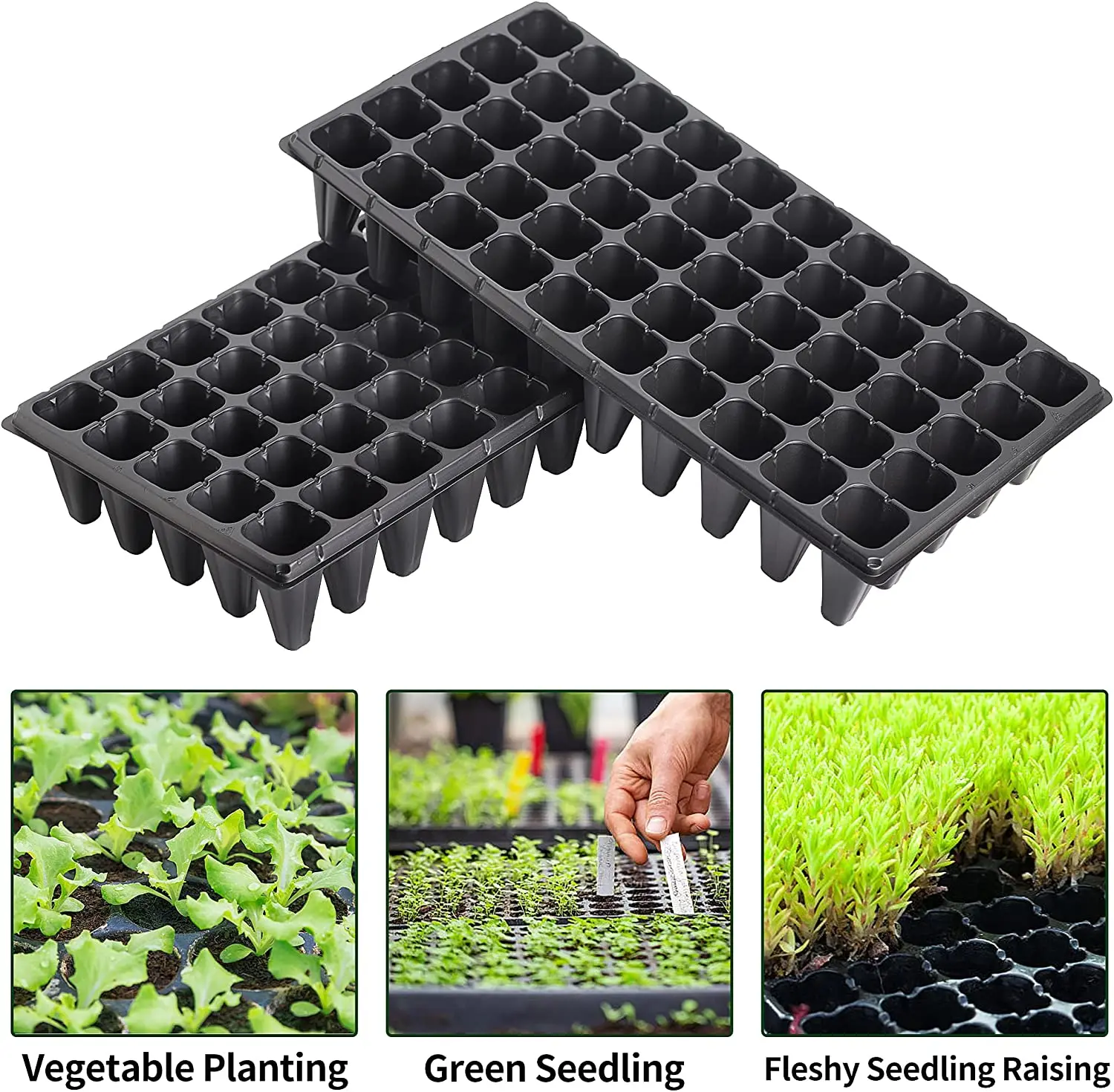 Plant Growing Seedling Tray 200 Cell Vegetable Seed Germination Tray Carton Box Plastic Tree