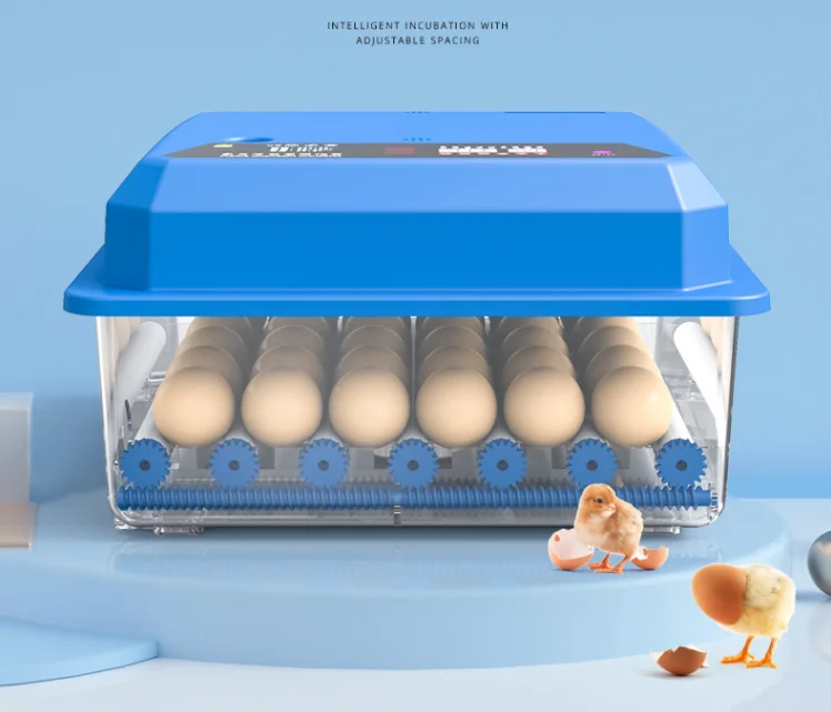 Quil Mini /icubator Incubator Chicken Egg Automatic Egg Incubator Hygrometer For Incubator Buy