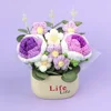 สีม่วงไล่เฉด - หลอดกุหลาบ (lifeBasin)