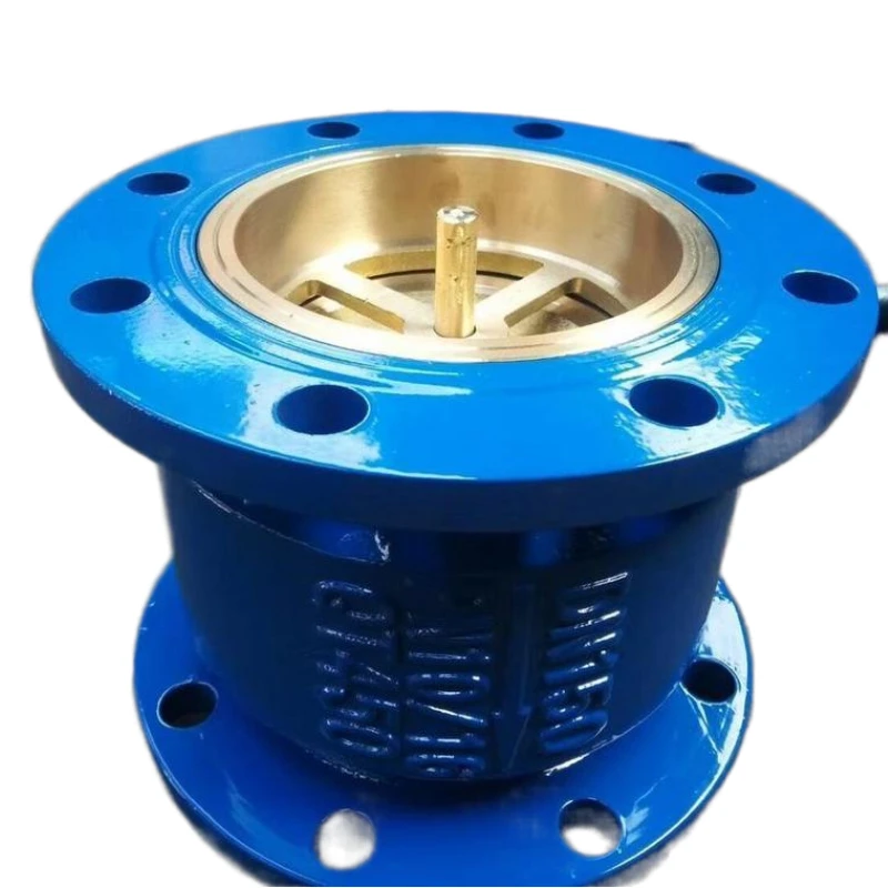 Din Silent Check Valve,Flanged - Buy Silent Check Valve/ Flange Check ...