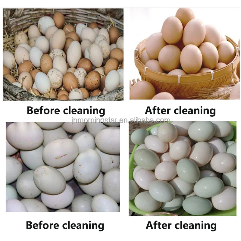 Multifunction Automatic Poultry Chicken Salted Duck Egg Washing