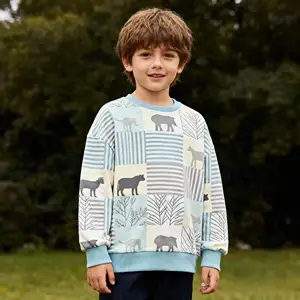 Clothing Manufacture 100% Cotton Thick Hoodies Sweatshirt Boy Graphic Print Digital Print Fleece Regular Pullover Hoodie