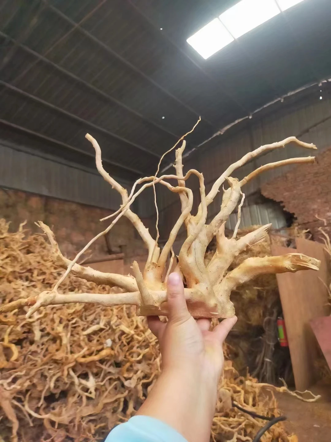 水族館の水槽の木の切り株スレートロックドリフトウッドと装飾的な流木