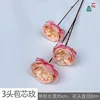 3-headed bud rose YB 4 yellow-pink