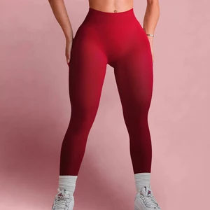 Nylon Fitness Apparel Butt Hips Lifting Yoga Tights Workout Leggings Clothings Women Gym Yoga Pants