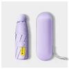 VIOLETA