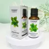 menta