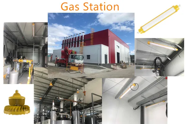 ATEX IP66 Explosion Proof Led Lighting Housing Zone1 Zone2 Zone21 Zone22 20W-75W Ex LED Light