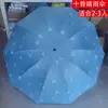10-Bone Grande Taille (Ciel Floral, Bleu Clair) - Un Choix de Qualité