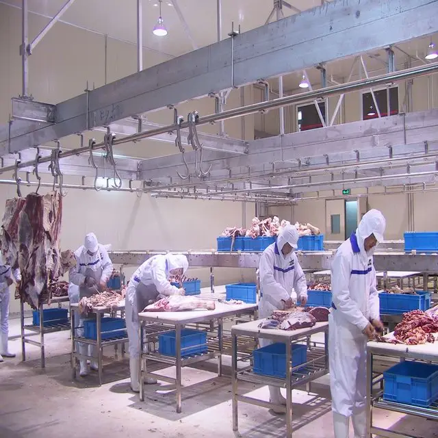 Pig slaughtering equipment livestock pig slaughtering machine with tools for slaughterhouse