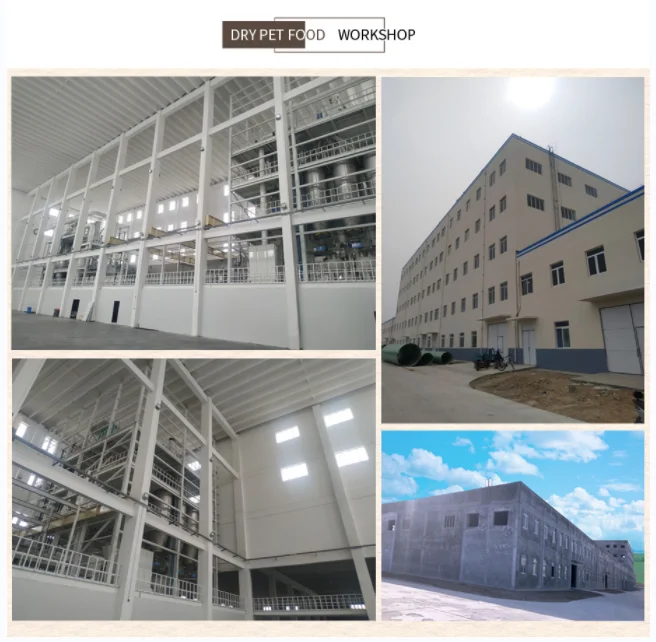 Oem Odm Chinese Low Price Pet Food Various Flavors Multiple Shapes 1840 Protein Content Adult