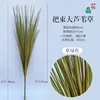 Bundle of large reeds, grass green